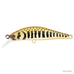 Leurre Sakura Artact Trout - Contrast Trout / 8.8 G / 6.3 Cm 11 Leurre Sakura Artact Trout - Contrast Trout / 8.8 G / 6.3 Cm -Pêche Expert 00018 Leurre Sakura Artact Trout Contrast Trout 8.8 g 6.3 cm