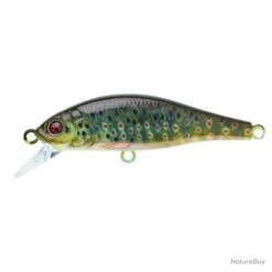 Leurre Coulant Sakura Flat Phoxy Minnow Hw - Real Life Spawning Vairon / 6 G / 5 Cm 12 Leurre Coulant Sakura Flat Phoxy Minnow Hw - Real Life Spawning Vairon / 6 G / 5 Cm -Pêche Expert 00019 Leurre coulant Sakura Flat Phoxy Minnow Hw Real Life Spawning Vairon 6 g 5 cm