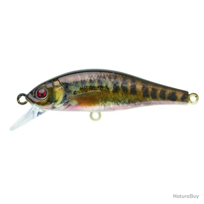Leurre Coulant Sakura Flat Phoxy Minnow Hw - Real Life Spawning Vairon / 8 G / 6 Cm 4 Leurre Coulant Sakura Flat Phoxy Minnow Hw - Real Life Spawning Vairon / 8 G / 6 Cm – Image 4