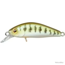 Leurre Illex Chubby Minnow Sp 3,5 Cm - Perch / 4 13 Leurre Illex Chubby Minnow Sp 3,5 Cm - Perch / 4 -Pêche Expert 00035 Leurre Illex Chubby Minnow Sp 3 5 cm Perch 4