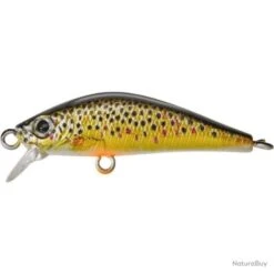 Leurre Gunki Gamera 3,9 Cm - 1,7 G - Copper Minnow / 6 15 Leurre Gunki Gamera 3,9 Cm - 1,7 G - Copper Minnow / 6 -Pêche Expert 00070 Leurre Gunki Gamera 3 9 cm 1 7 g Copper Minnow 6